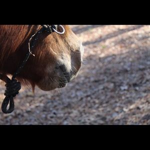 Meet your Posher, Emma